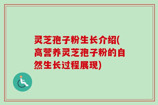 灵芝孢子粉生长介绍(高营养灵芝孢子粉的自然生长过程展现) 灵芝孢子粉生长介绍(高营养灵芝孢子粉的自然生长过程展现)