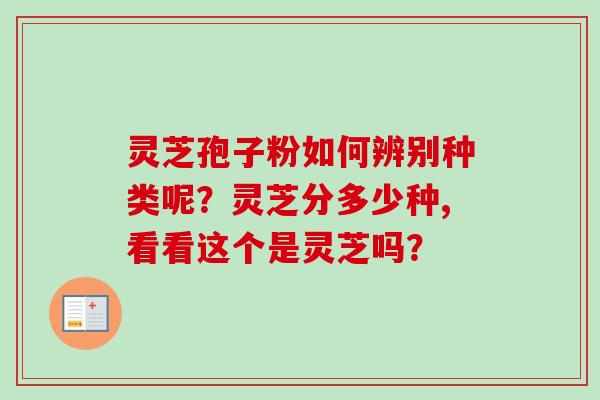 灵芝孢子粉如何辨别种类呢?灵芝分多少种,看看这个是灵芝吗? 灵芝孢子粉如何辨别种类呢?灵芝分多少种,看看这个是灵芝吗?