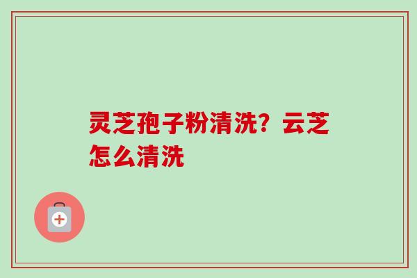 灵芝孢子粉清洗?云芝怎么清洗 灵芝孢子粉清洗?云芝怎么清洗