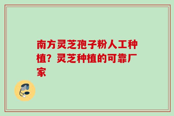 南方灵芝孢子粉人工种植？灵芝种植的可靠厂家