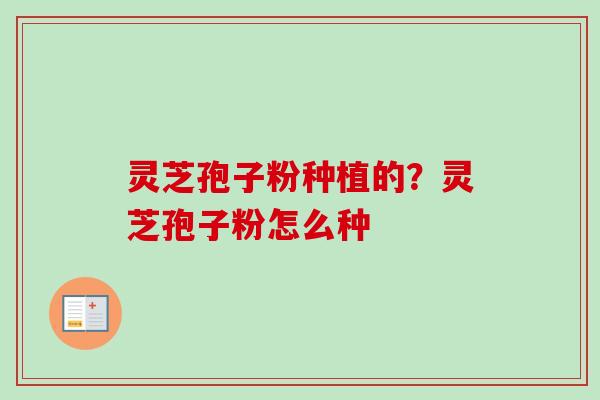 灵芝孢子粉种植的？灵芝孢子粉怎么种
