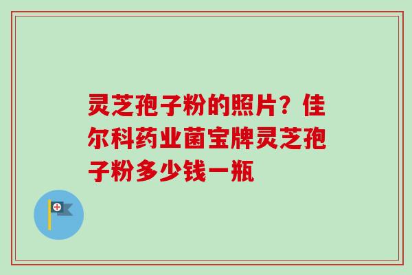 灵芝孢子粉的照片?佳尔科药业菌宝牌灵芝孢子粉多少钱一瓶 灵芝孢子粉的照片?佳尔科药业菌宝牌灵芝孢子粉多少钱一瓶