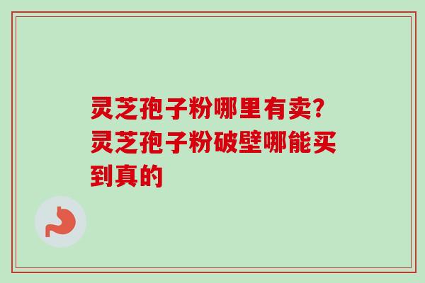 灵芝孢子粉哪里有卖?灵芝孢子粉破壁哪能买到真的 灵芝孢子粉哪里有卖?灵芝孢子粉破壁哪能买到真的
