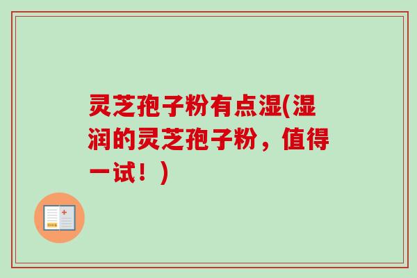 灵芝孢子粉有点湿(湿润的灵芝孢子粉,值得一试!) 灵芝孢子粉有点湿(湿润的灵芝孢子粉,值得一试!)
