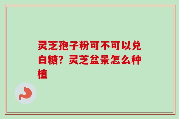 灵芝孢子粉可不可以兑白糖?灵芝盆景怎么种植 灵芝孢子粉可不可以兑白糖?灵芝盆景怎么种植