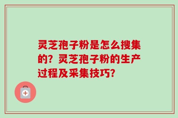 灵芝孢子粉是怎么搜集的?灵芝孢子粉的生产过程及采集技巧? 灵芝孢子粉是怎么搜集的?灵芝孢子粉的生产过程及采集技巧?