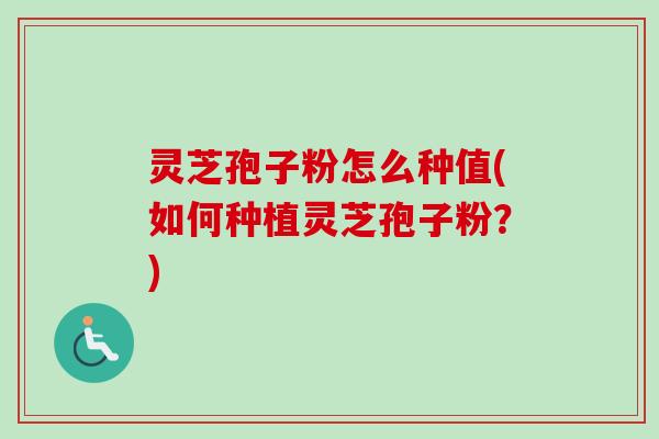 灵芝孢子粉怎么种值(如何种植灵芝孢子粉?) 灵芝孢子粉怎么种值(如何种植灵芝孢子粉?)