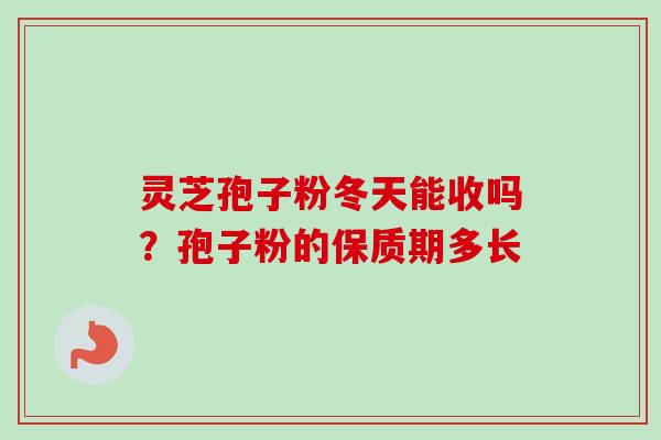 灵芝孢子粉冬天能收吗？孢子粉的保质期多长