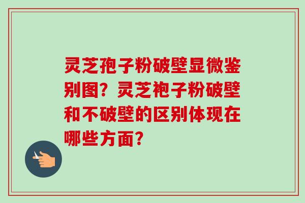 灵芝孢子粉破壁显微鉴别图？灵芝袍子粉破壁和不破壁的区别体现在哪些方面？