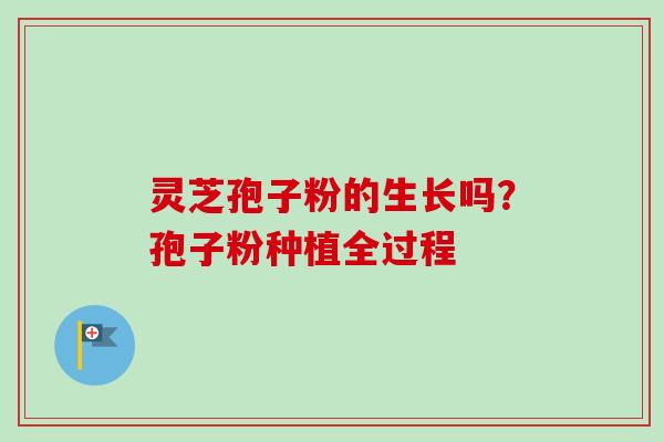 灵芝孢子粉的生长吗?孢子粉种植全过程 灵芝孢子粉的生长吗?孢子粉种植全过程