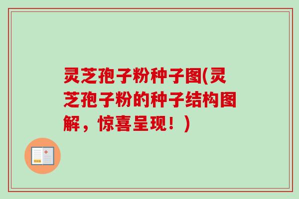 灵芝孢子粉种子图(灵芝孢子粉的种子结构图解，惊喜呈现！)