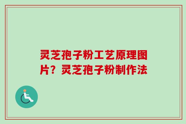 灵芝孢子粉工艺原理图片?灵芝孢子粉制作法 灵芝孢子粉工艺原理图片?灵芝孢子粉制作法