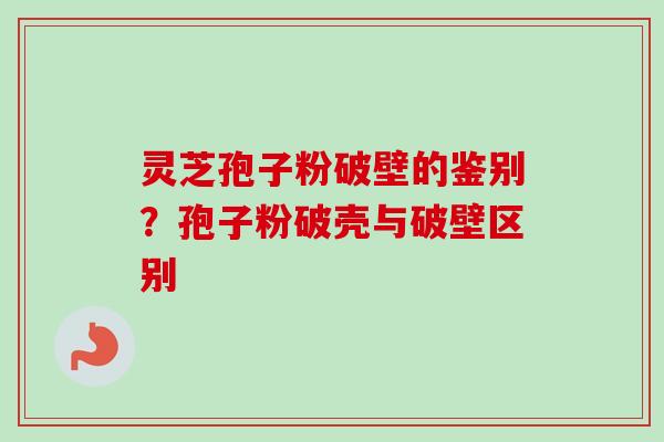 灵芝孢子粉破壁的鉴别?孢子粉破壳与破壁区别 灵芝孢子粉破壁的鉴别?孢子粉破壳与破壁区别