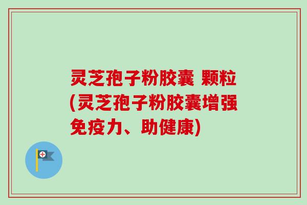 灵芝孢子粉胶囊 颗粒(灵芝孢子粉胶囊增强免疫力、助健康)