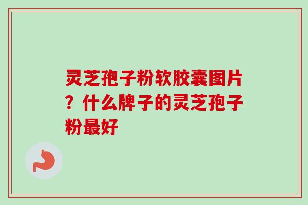 灵芝孢子粉软胶囊图片?什么牌子的灵芝孢子粉好 灵芝孢子粉软胶囊图片?什么牌子的灵芝孢子粉好