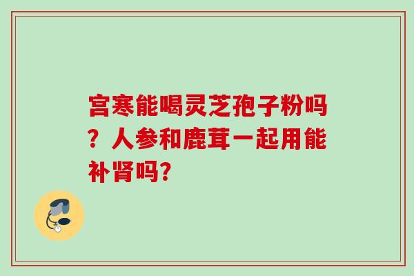 宫寒能喝灵芝孢子粉吗?人参和鹿茸一起用能补吗? 宫寒能喝灵芝孢子粉吗?人参和鹿茸一起用能补吗?