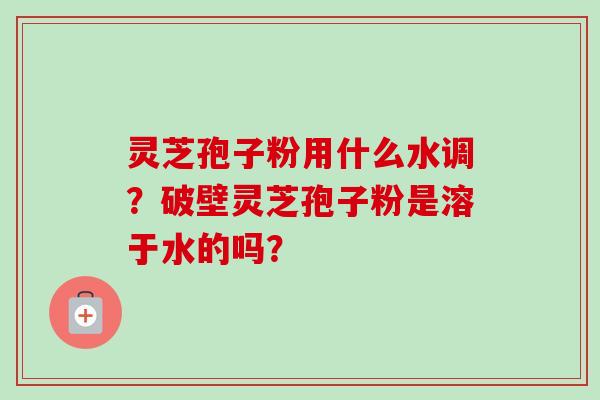 灵芝孢子粉用什么水调?破壁灵芝孢子粉是溶于水的吗? 灵芝孢子粉用什么水调?破壁灵芝孢子粉是溶于水的吗?