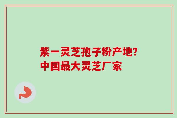 紫一灵芝孢子粉产地?中国大灵芝厂家 紫一灵芝孢子粉产地?中国大灵芝厂家