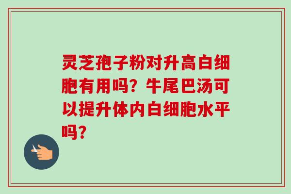 灵芝孢子粉对升高有用吗?牛尾巴汤可以提升体内水平吗? 灵芝孢子粉对升高有用吗?牛尾巴汤可以提升体内水平吗?