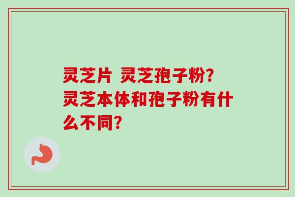 灵芝片 灵芝孢子粉?灵芝本体和孢子粉有什么不同? 灵芝片 灵芝孢子粉?灵芝本体和孢子粉有什么不同?
