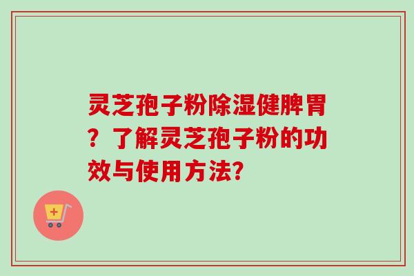 灵芝孢子粉除湿健脾胃？了解灵芝孢子粉的功效与使用方法？