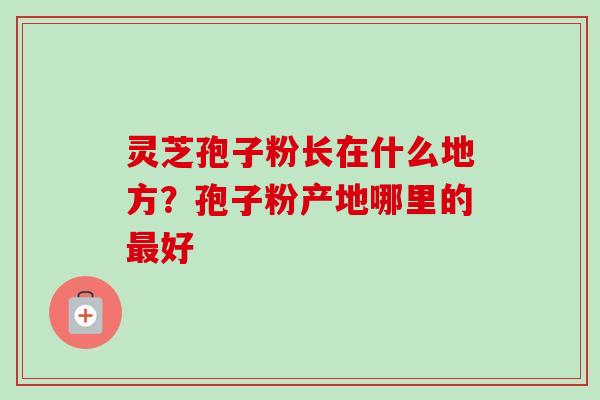 灵芝孢子粉长在什么地方?孢子粉产地哪里的好 灵芝孢子粉长在什么地方?孢子粉产地哪里的好