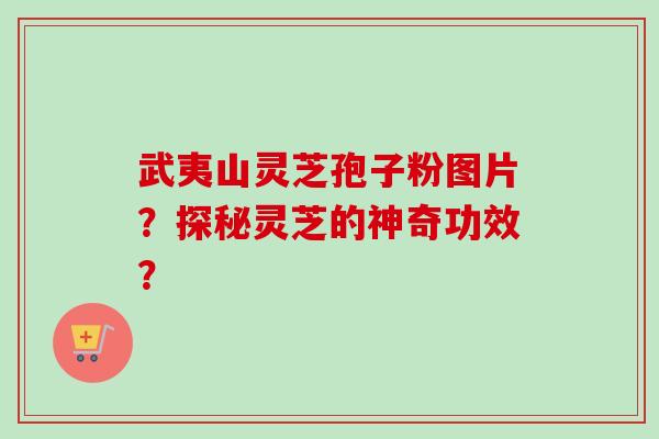 武夷山灵芝孢子粉图片?探秘灵芝的神奇功效? 武夷山灵芝孢子粉图片?探秘灵芝的神奇功效?