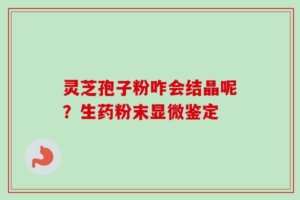 灵芝孢子粉咋会结晶呢?生药粉末显微鉴定 灵芝孢子粉咋会结晶呢?生药粉末显微鉴定