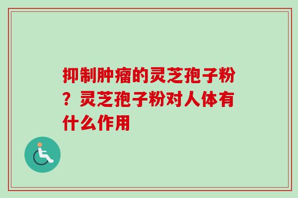 抑制的灵芝孢子粉?灵芝孢子粉对人体有什么作用 抑制的灵芝孢子粉?灵芝孢子粉对人体有什么作用