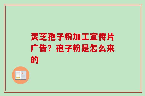灵芝孢子粉加工宣传片广告？孢子粉是怎么来的