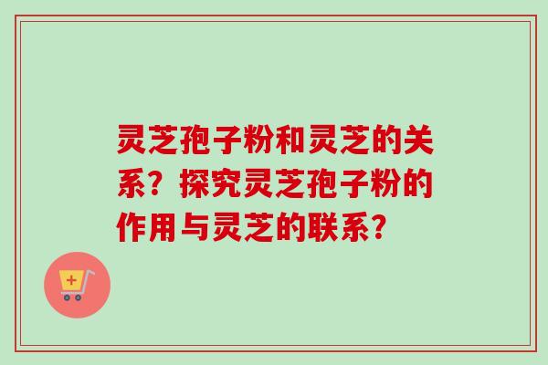 灵芝孢子粉和灵芝的关系?探究灵芝孢子粉的作用与灵芝的联系? 灵芝孢子粉和灵芝的关系?探究灵芝孢子粉的作用与灵芝的联系?