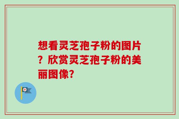想看灵芝孢子粉的图片?欣赏灵芝孢子粉的美丽图像? 想看灵芝孢子粉的图片?欣赏灵芝孢子粉的美丽图像?