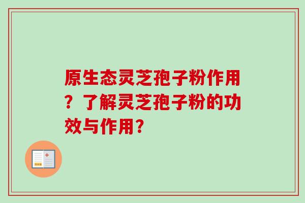 原生态灵芝孢子粉作用？了解灵芝孢子粉的功效与作用？