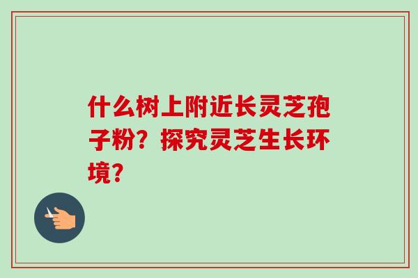 什么树上附近长灵芝孢子粉?探究灵芝生长环境? 什么树上附近长灵芝孢子粉?探究灵芝生长环境?