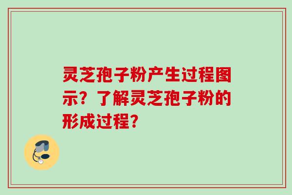 灵芝孢子粉产生过程图示?了解灵芝孢子粉的形成过程? 灵芝孢子粉产生过程图示?了解灵芝孢子粉的形成过程?