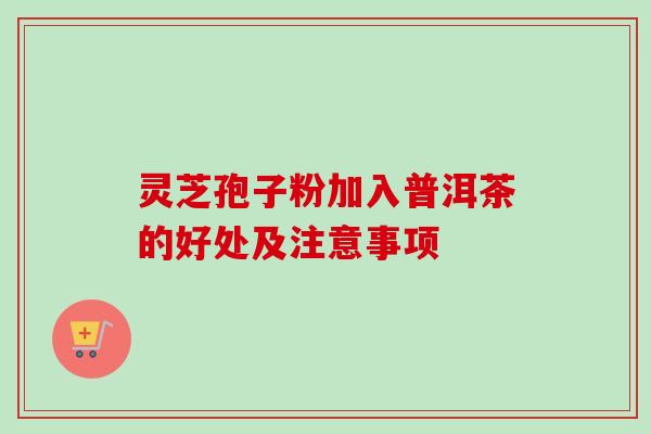 灵芝孢子粉加入普洱茶的好处及注意事项 灵芝孢子粉加入普洱茶的好处及注意事项