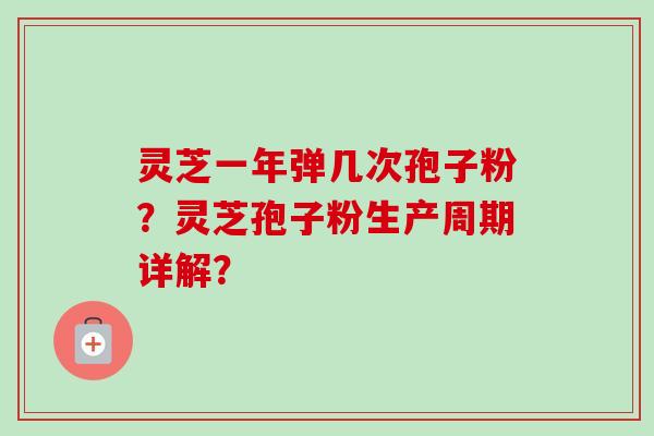 灵芝一年弹几次孢子粉？灵芝孢子粉生产周期详解？