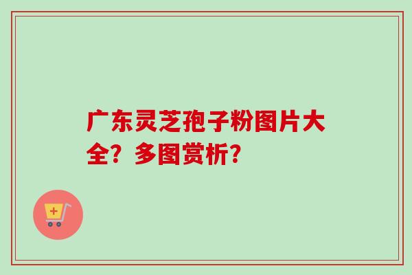 广东灵芝孢子粉图片大全？多图赏析？