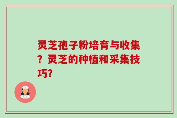 灵芝孢子粉培育与收集?灵芝的种植和采集技巧? 灵芝孢子粉培育与收集?灵芝的种植和采集技巧?