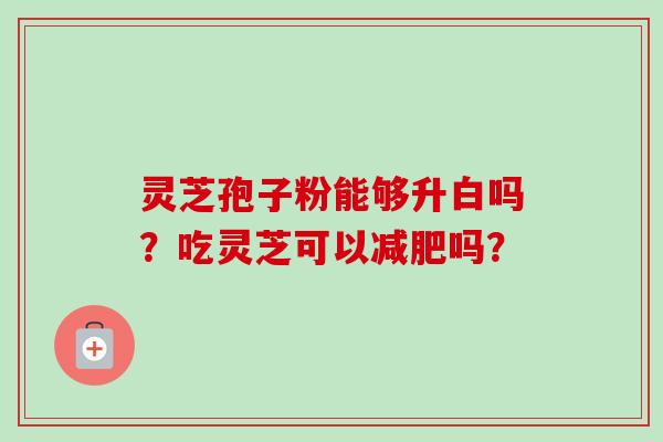 灵芝孢子粉能够升白吗？吃灵芝可以吗？