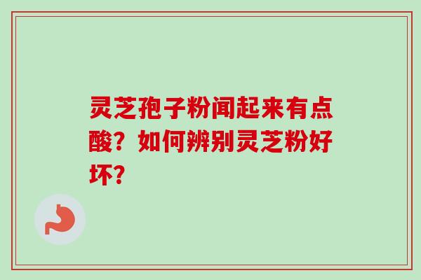 灵芝孢子粉闻起来有点酸?如何辨别灵芝粉好坏? 灵芝孢子粉闻起来有点酸?如何辨别灵芝粉好坏?