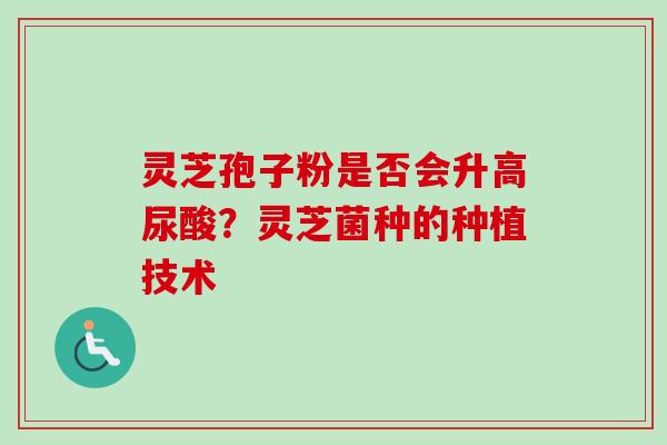 灵芝孢子粉是否会升高尿酸?灵芝菌种的种植技术 灵芝孢子粉是否会升高尿酸?灵芝菌种的种植技术