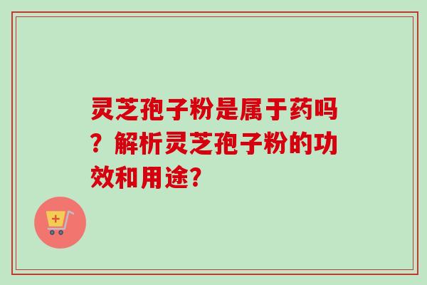 灵芝孢子粉是属于药吗?解析灵芝孢子粉的功效和用途? 灵芝孢子粉是属于药吗?解析灵芝孢子粉的功效和用途?