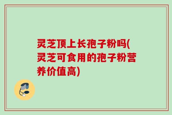 灵芝顶上长孢子粉吗(灵芝可食用的孢子粉营养价值高) 灵芝顶上长孢子粉吗(灵芝可食用的孢子粉营养价值高)
