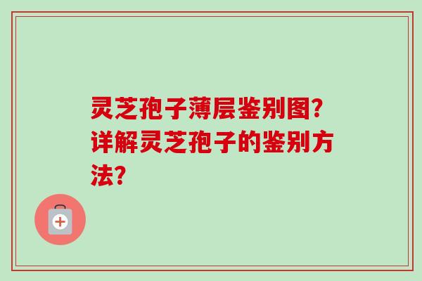 灵芝孢子薄层鉴别图？详解灵芝孢子的鉴别方法？