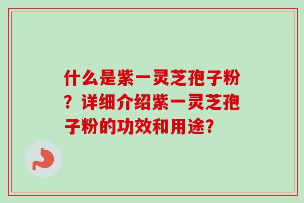 什么是紫一灵芝孢子粉?详细介绍紫一灵芝孢子粉的功效和用途? 什么是紫一灵芝孢子粉?详细介绍紫一灵芝孢子粉的功效和用途?