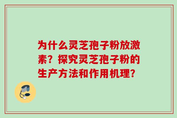 为什么灵芝孢子粉放激素?探究灵芝孢子粉的生产方法和作用机理? 为什么灵芝孢子粉放激素?探究灵芝孢子粉的生产方法和作用机理?