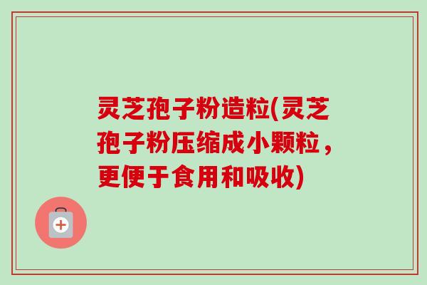 灵芝孢子粉造粒(灵芝孢子粉压缩成小颗粒,更便于食用和吸收) 灵芝孢子粉造粒(灵芝孢子粉压缩成小颗粒,更便于食用和吸收)