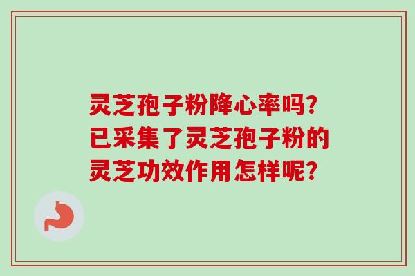 灵芝孢子粉降心率吗?已采集了灵芝孢子粉的灵芝功效作用怎样呢? 灵芝孢子粉降心率吗?已采集了灵芝孢子粉的灵芝功效作用怎样呢?