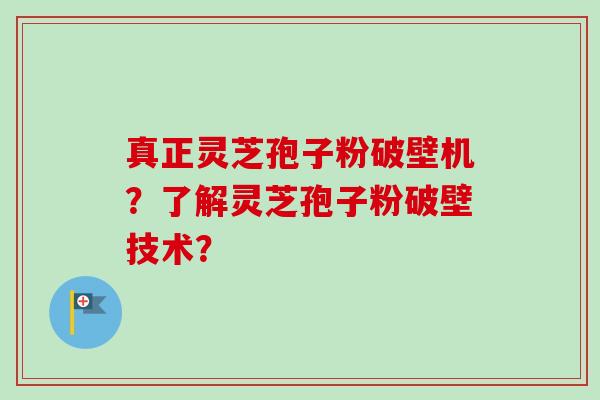 真正灵芝孢子粉破壁机?了解灵芝孢子粉破壁技术? 真正灵芝孢子粉破壁机?了解灵芝孢子粉破壁技术?
